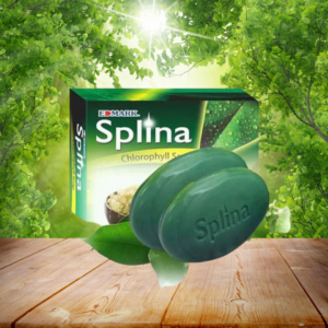 Savon splina